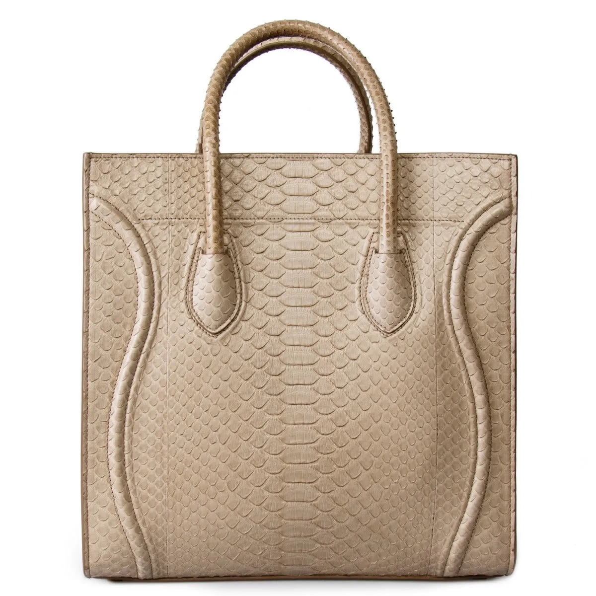 Celine Medium Luggage Phantom Bag In Taupe Python