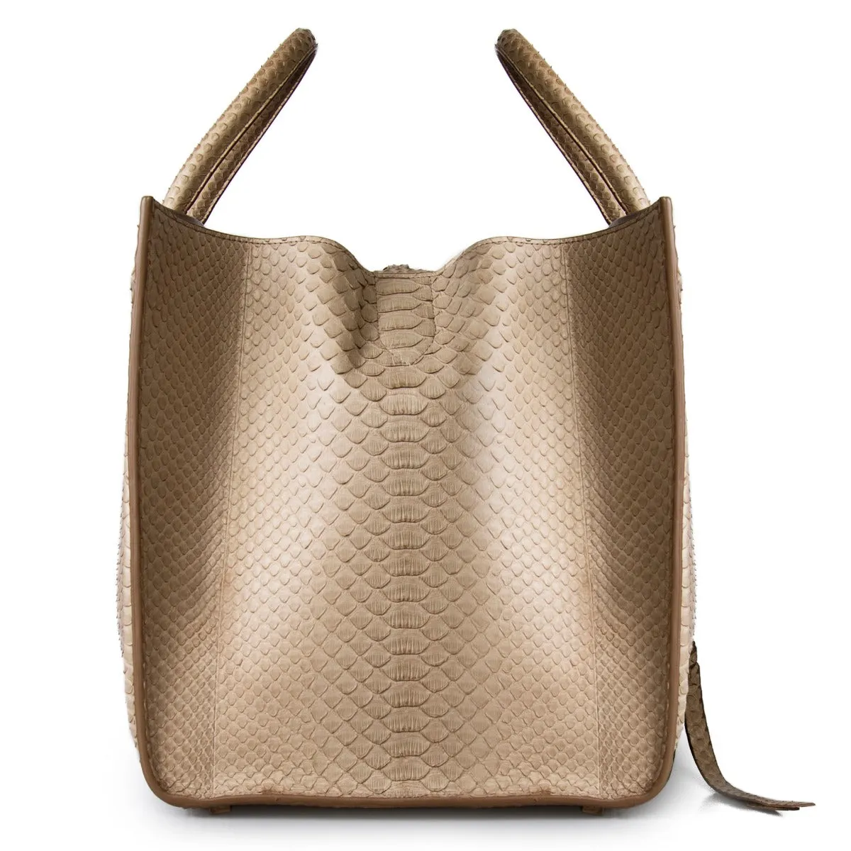 Celine Medium Luggage Phantom Bag In Taupe Python