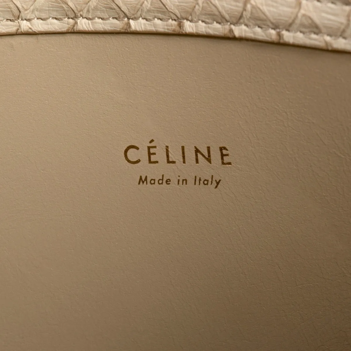 Celine Medium Luggage Phantom Bag In Taupe Python